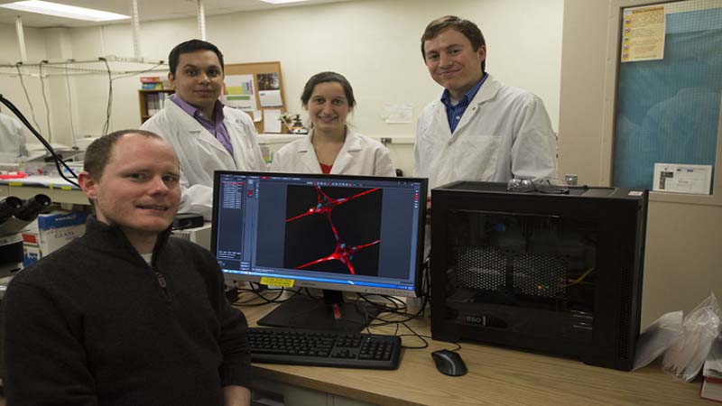 3D Near Field Electrospinning Method can create Scaffolds for Living Tissue Penn State