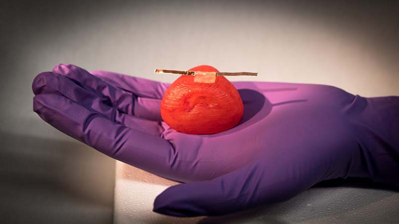 Researchers develop 3D Printed Organ Models that react like Actual Organs
