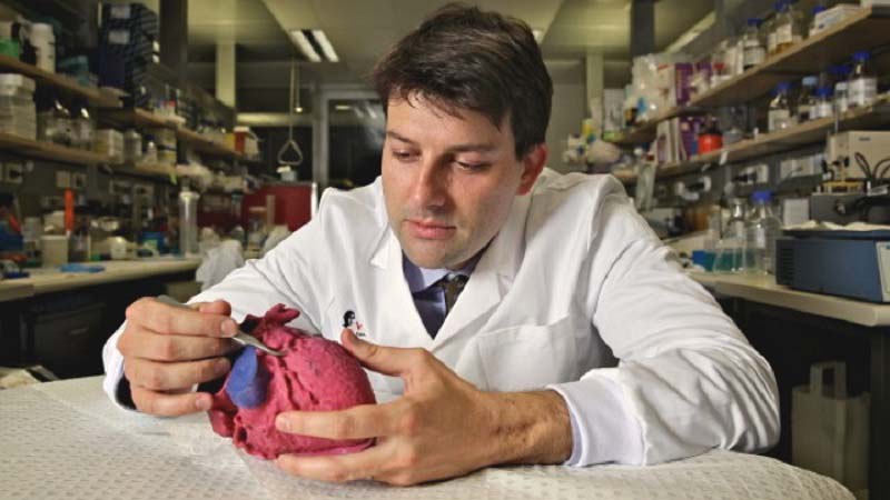 3D Printed Heart Models help Doctors in Poland
