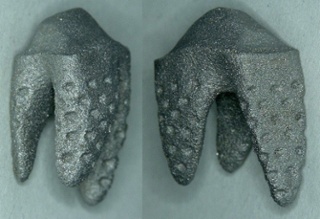 REPLICATE Tooth 3D Print 2017 MAR 14