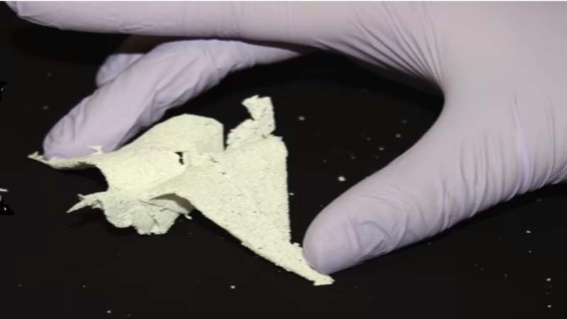 A 3D Printing Accident that led to Super Tissue Paper with Biological Properties