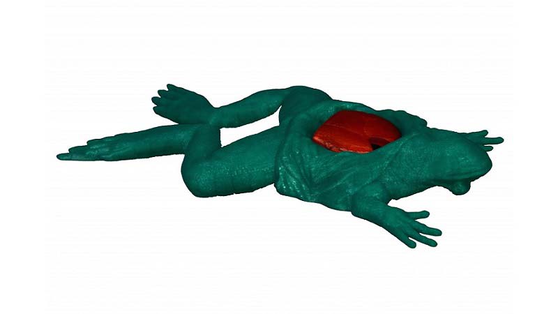3D Printed Frog Model