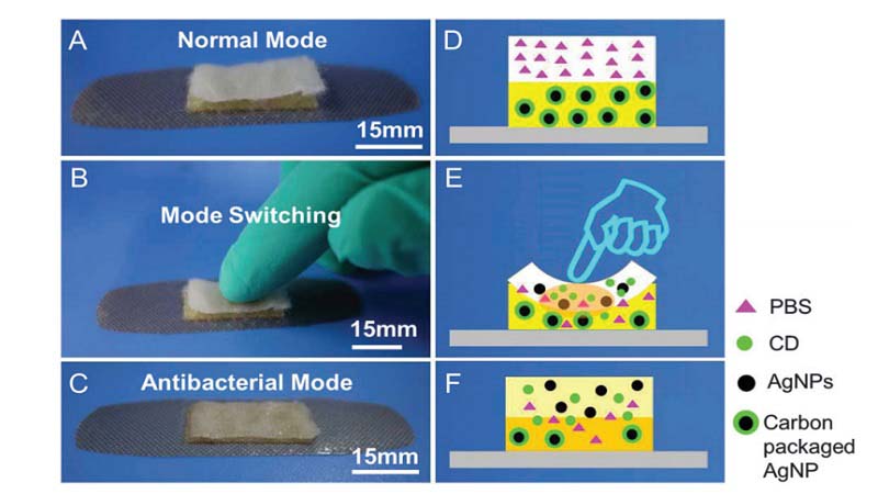 3D Printed Anti Microbial Bandage